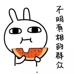 娱乐吃瓜酱远离负能量,与娱乐吃瓜酱共度美好时光
